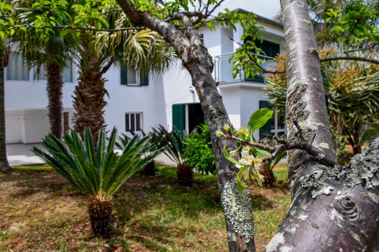 Casa Do Cantinho Do Muro São Vicente Kültér fotó